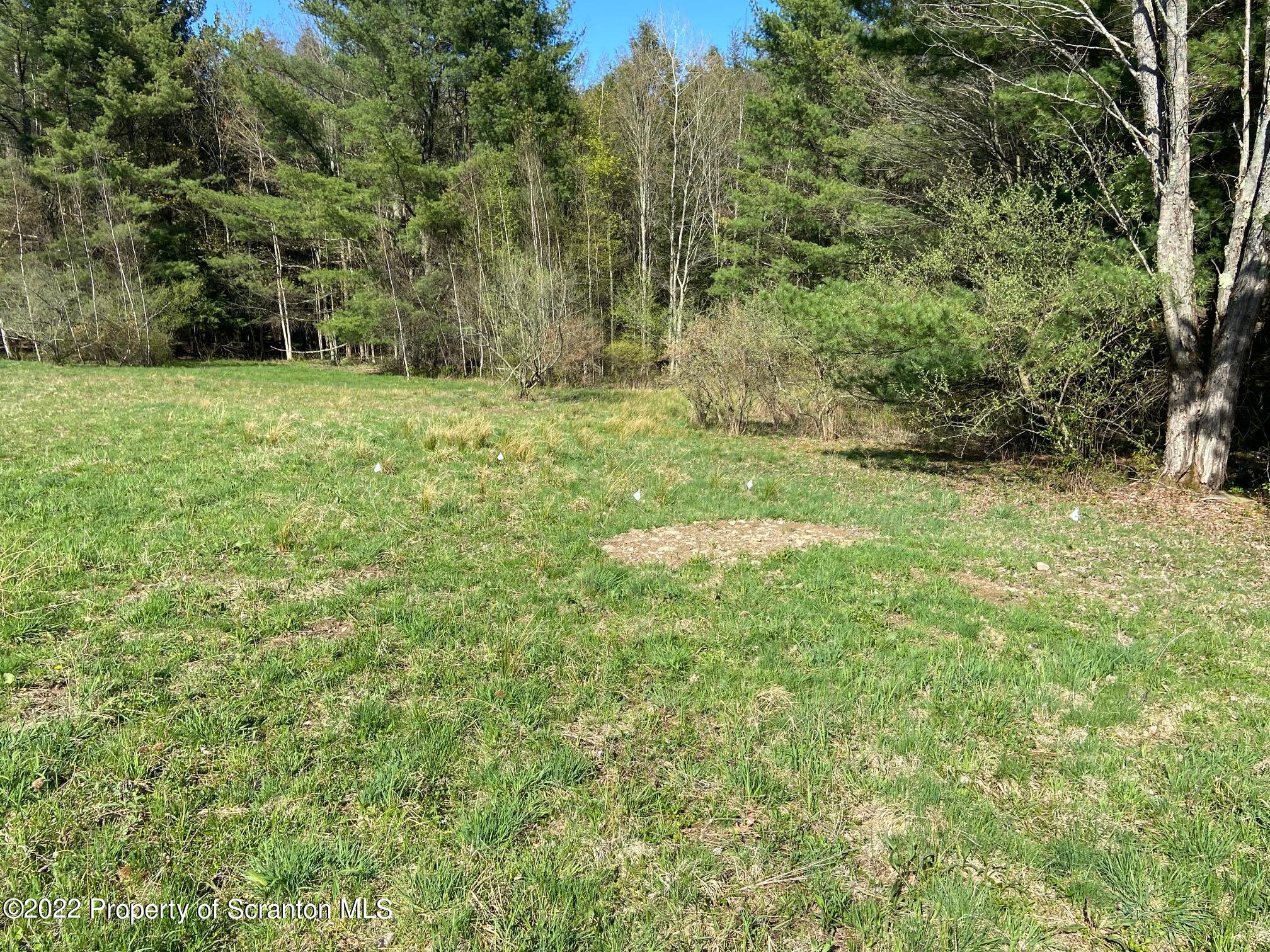 3433 State Route Forest City, PA 18421 - Photo 6 of 6 a backyard of a house with lots of green space