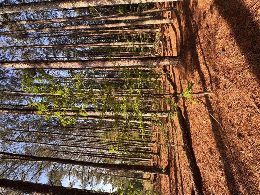 0 Conger Road Union Point, GA 30669 - Photo 11 of 12