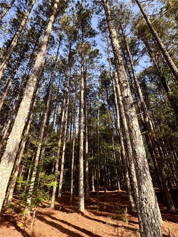 0 Conger Road Union Point, GA 30669 - Photo 12 of 12