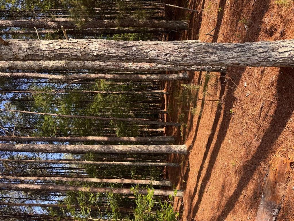 0 Conger Road Union Point, GA 30669 - Photo 5 of 12