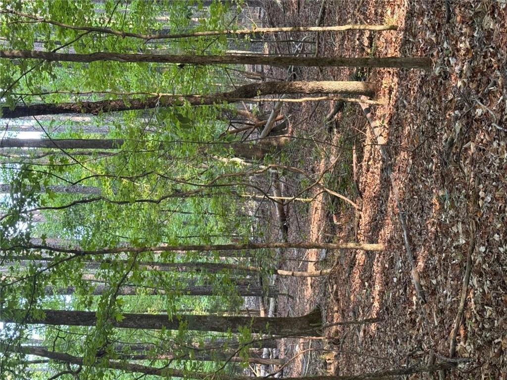 0 Conger Road Union Point, GA 30669 - Photo 7 of 12