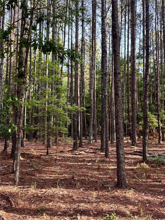 0 Conger Road Union Point, GA 30669 - Photo 9 of 12