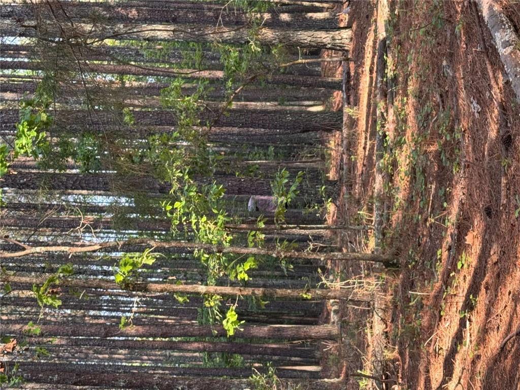 0 Conger Road Union Point, GA 30669 - Photo 10 of 12