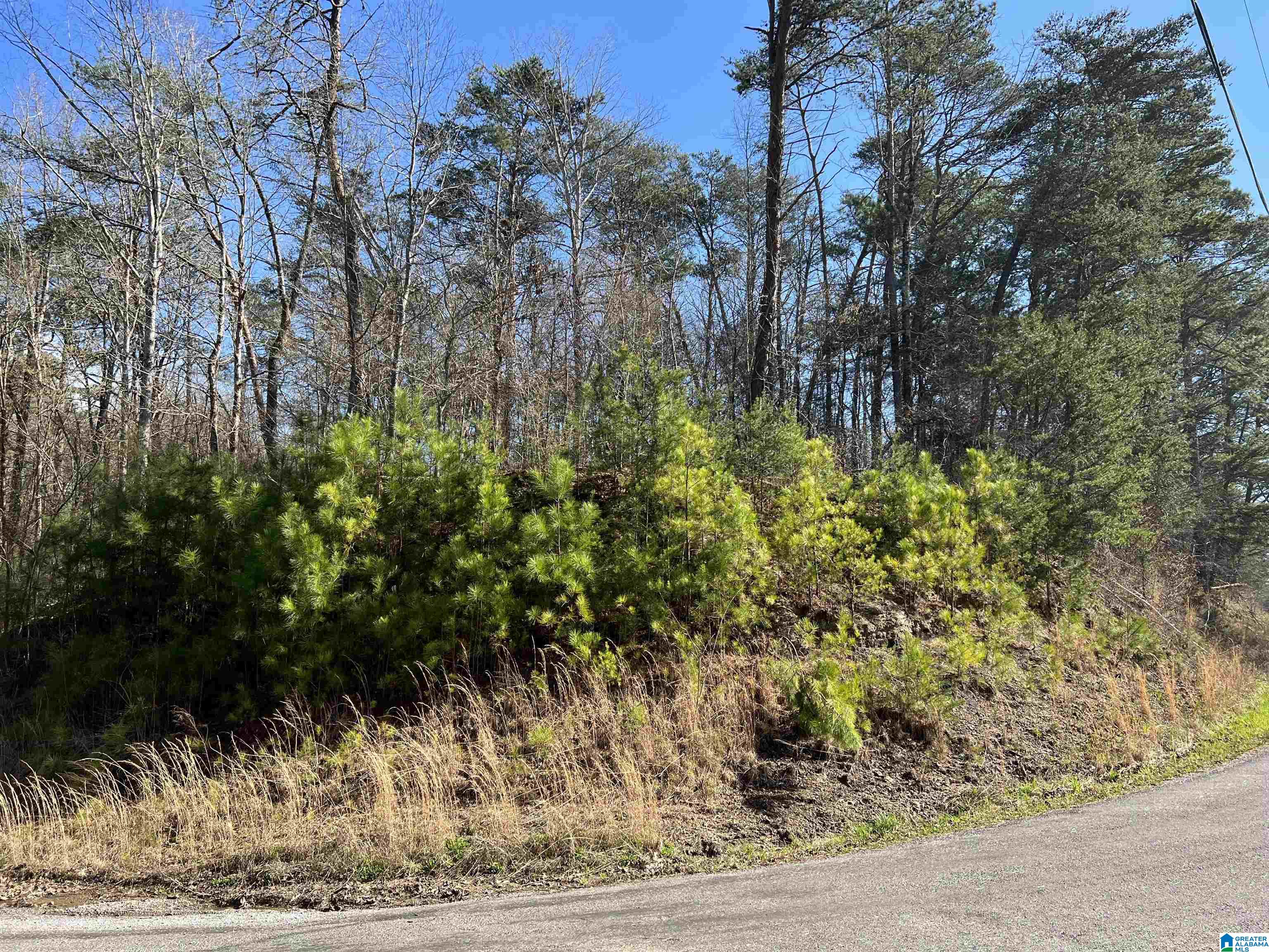 0 Lakeshore Lane, Unit 4 Oneonta, AL 35121 - Photo 25 of 49