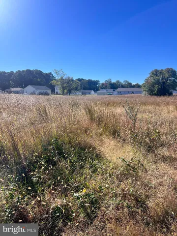a view of a lake with houses in the back