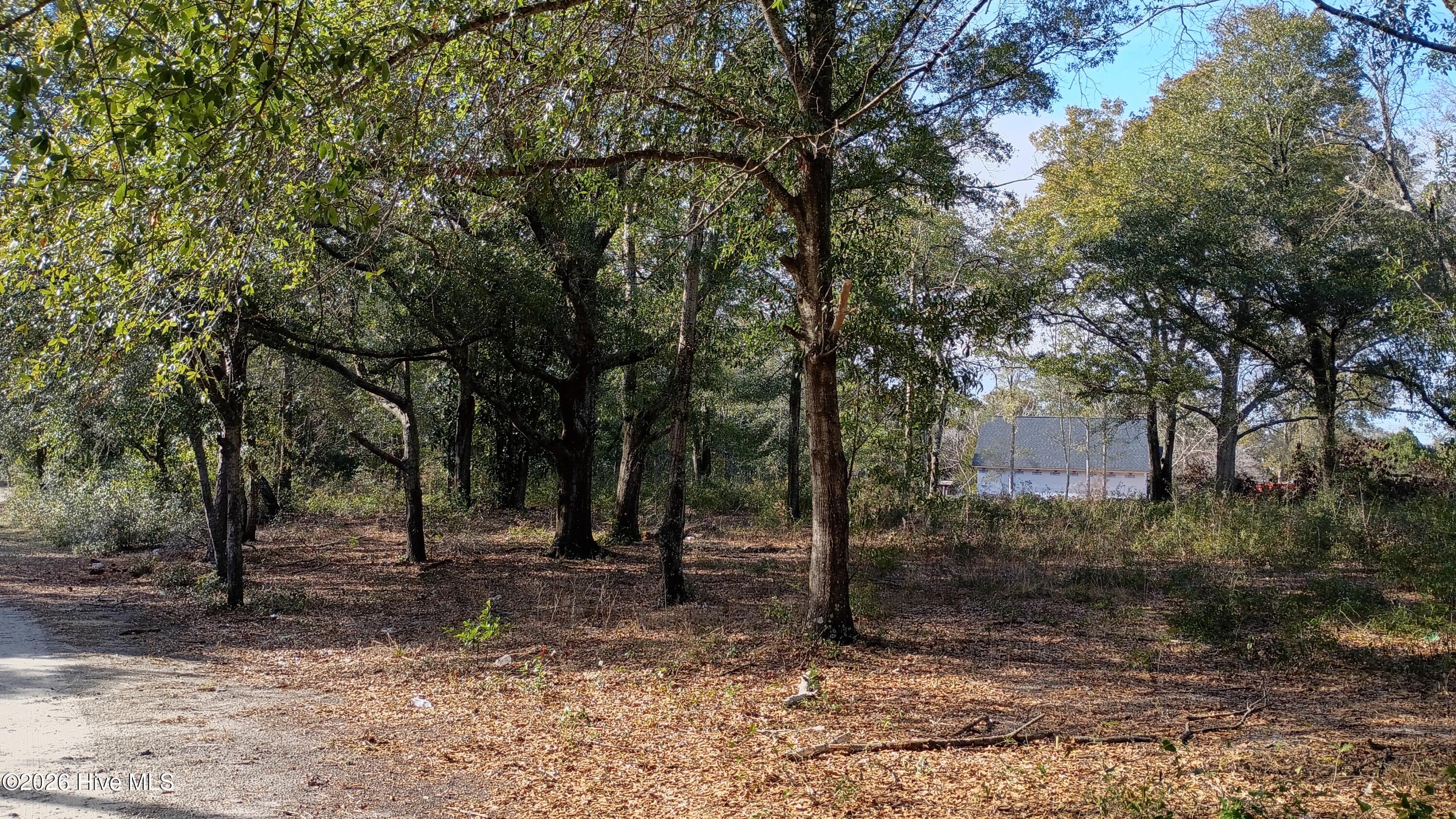 203 Flemington Road Wilmington, NC 28401 - Photo 3 of 10 2026-01-21 14.35.05