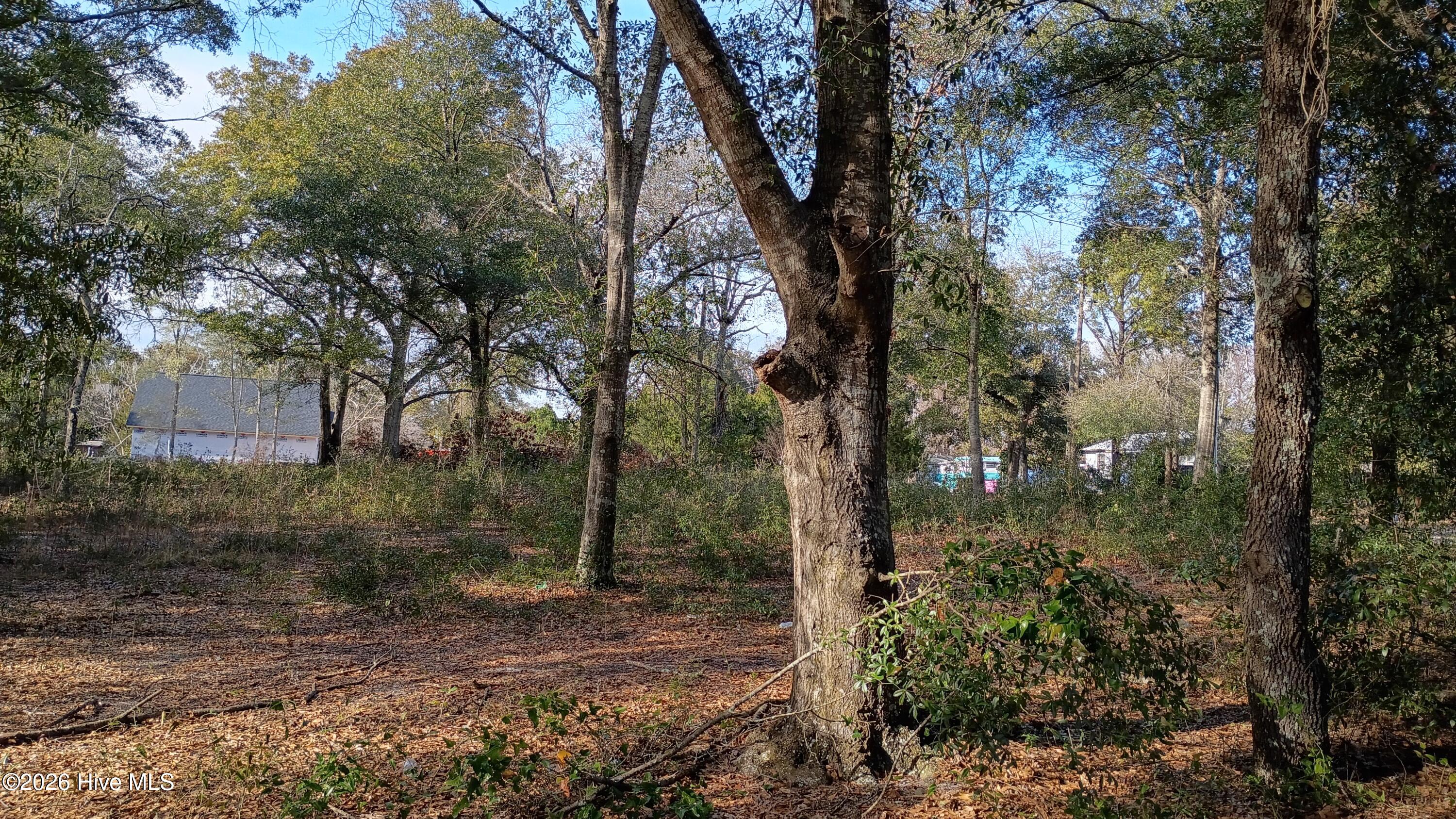 203 Flemington Road Wilmington, NC 28401 - Photo 5 of 10 2026-01-21 14.35.10