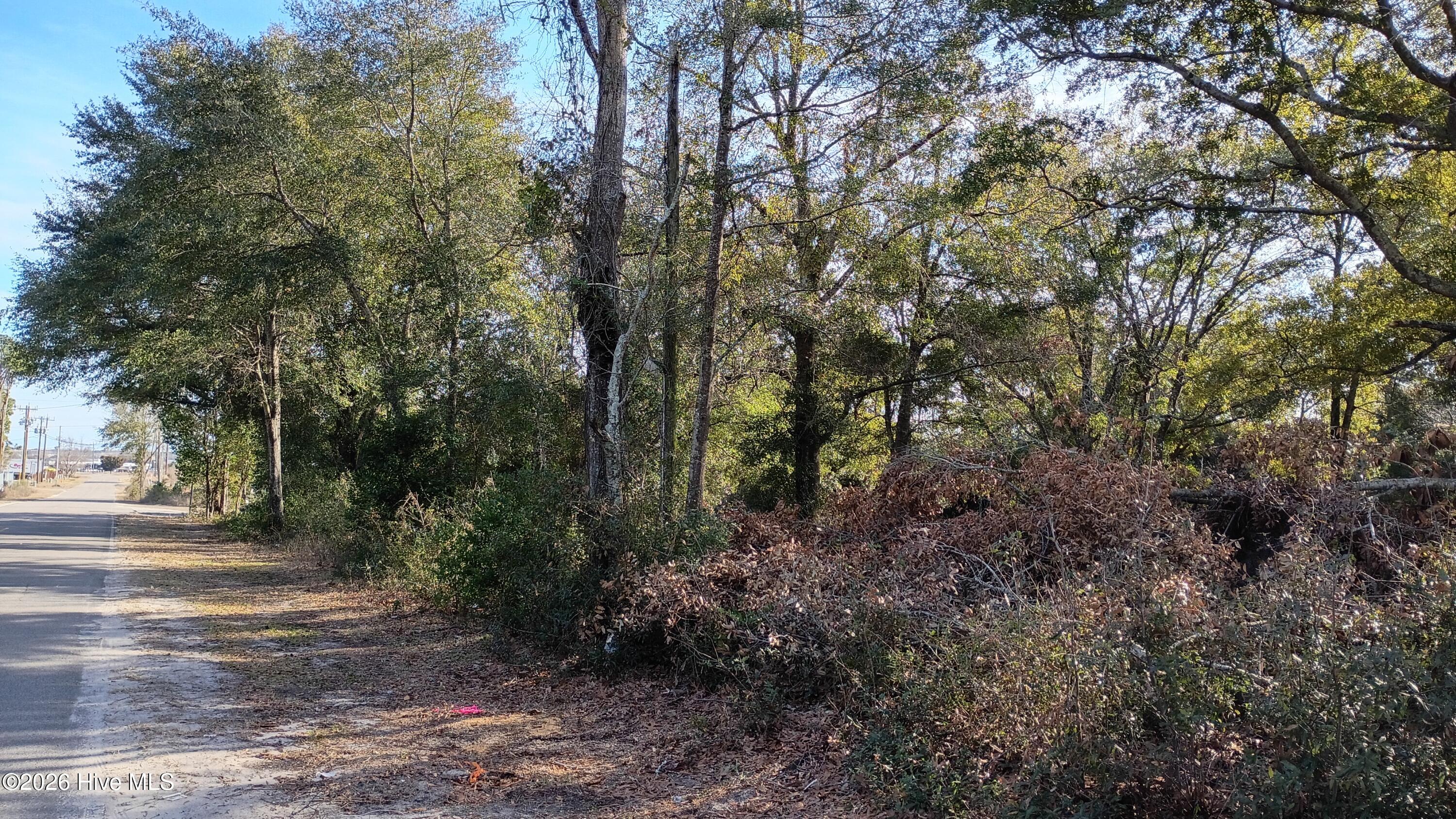 203 Flemington Road Wilmington, NC 28401 - Photo 6 of 10 2026-01-21 14.33.00