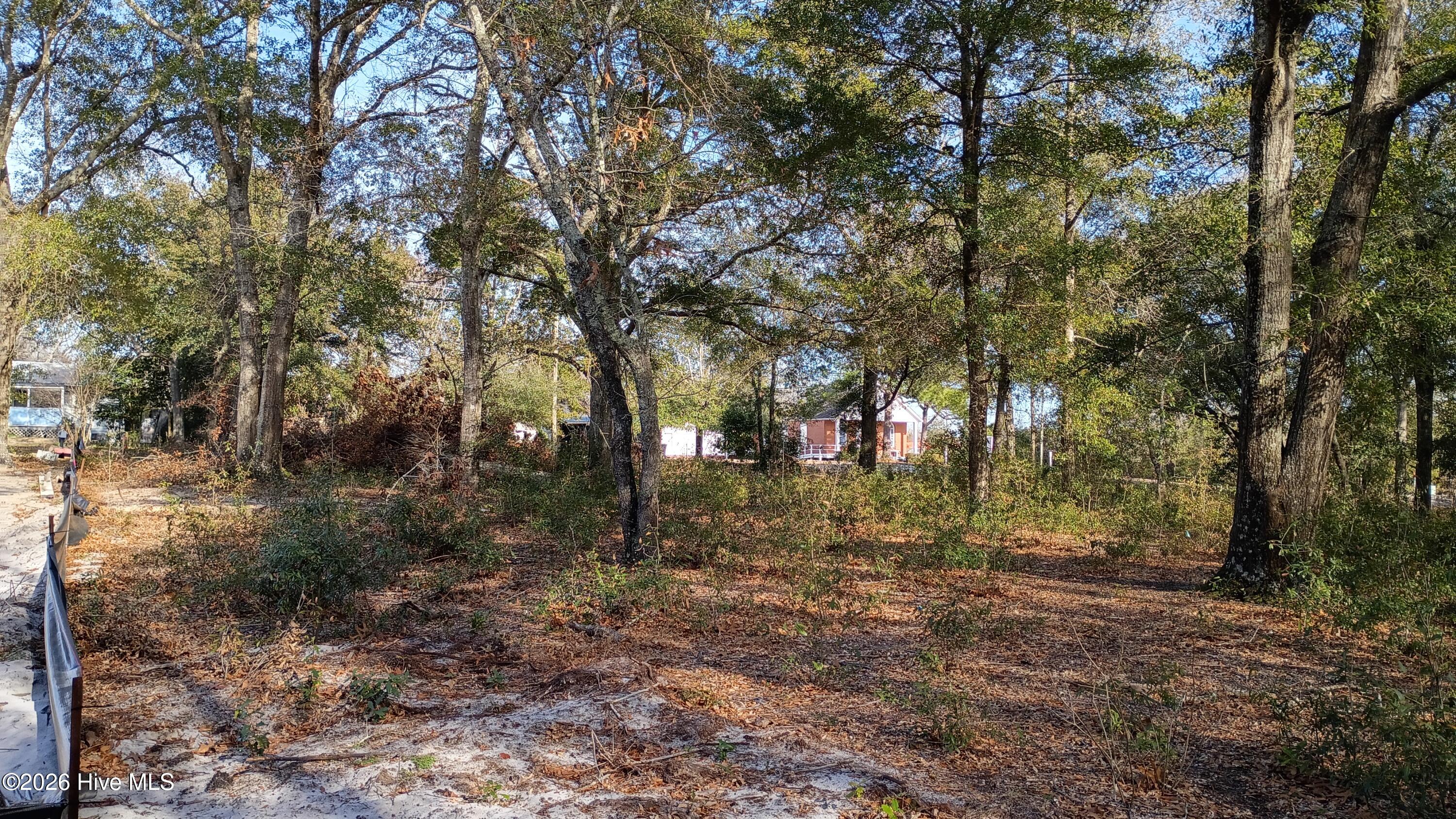 203 Flemington Road Wilmington, NC 28401 - Photo 7 of 10 2026-01-21 14.26.38