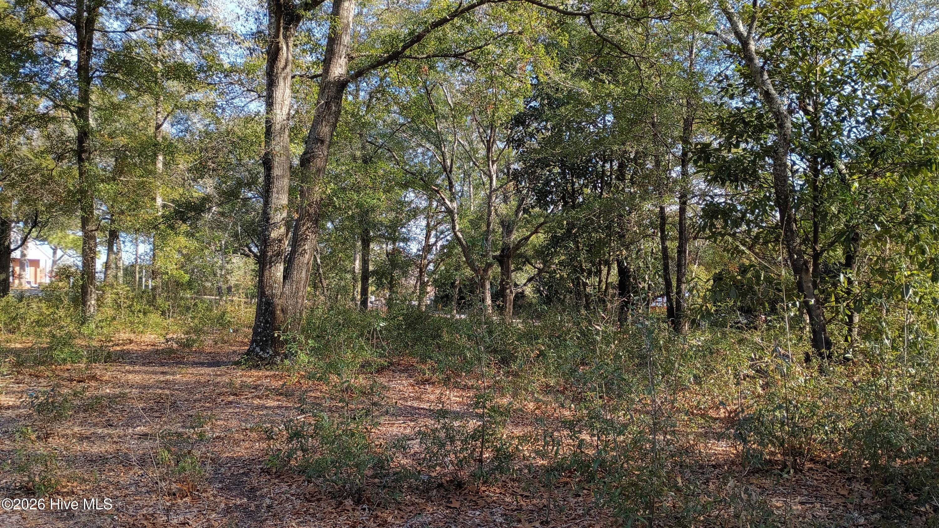 203 Flemington Road Wilmington, NC 28401 - Photo 9 of 10 2026-01-21 14.26.44