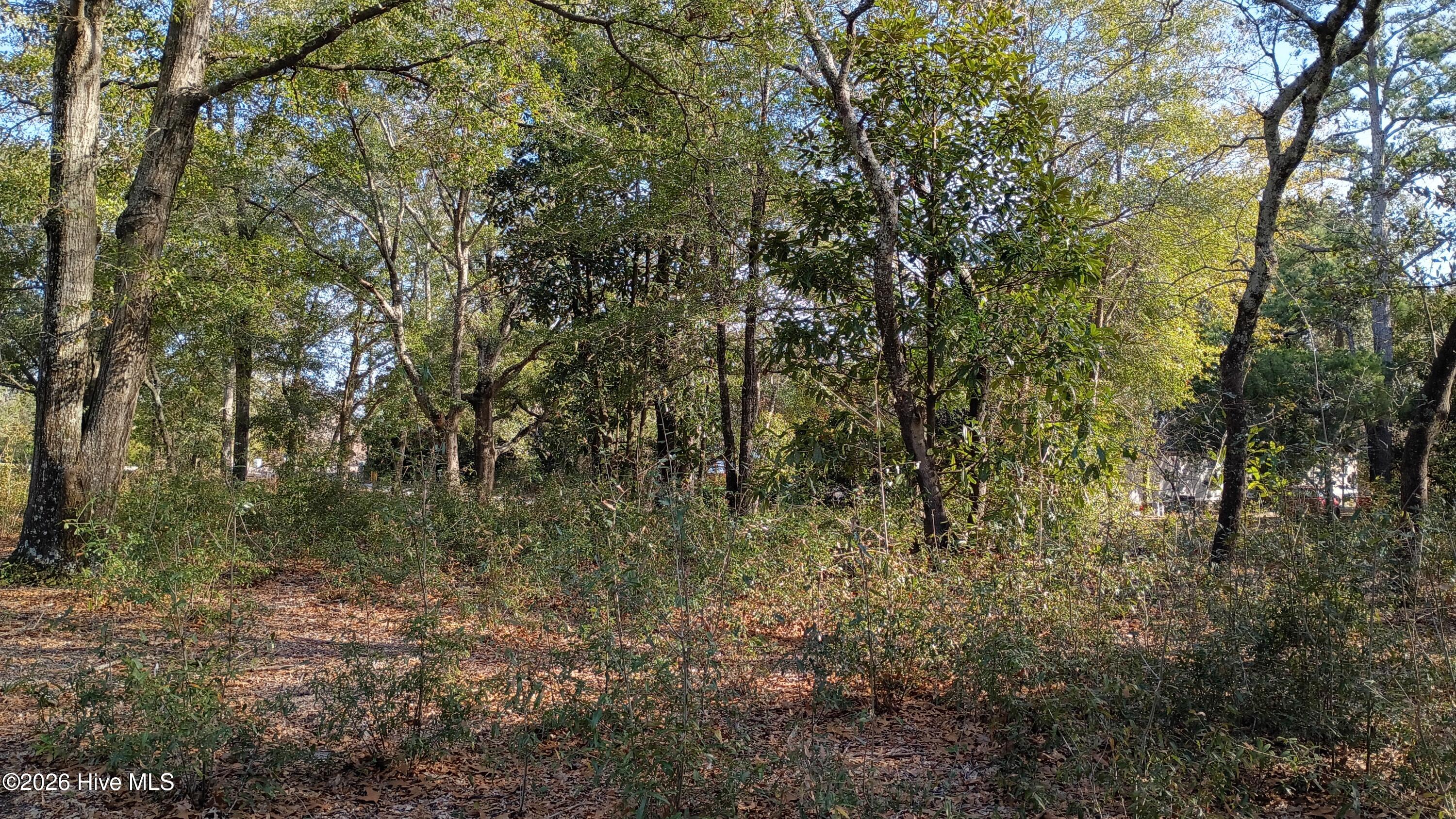 203 Flemington Road Wilmington, NC 28401 - Photo 10 of 10 2026-01-21 14.26.47