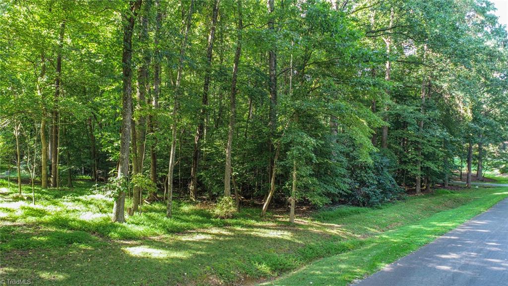 7203 Haw Ridge Road Summerfield, NC 27358 - Photo 2 of 5