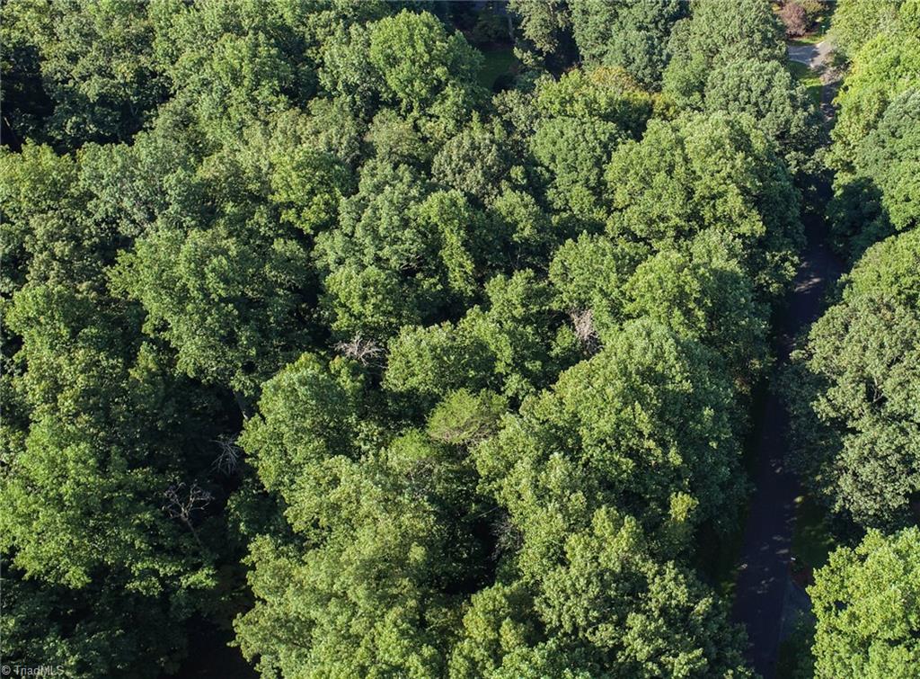 7203 Haw Ridge Road Summerfield, NC 27358 - Photo 4 of 5