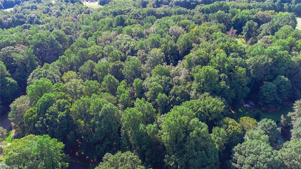 7203 Haw Ridge Road Summerfield, NC 27358 - Photo 5 of 5
