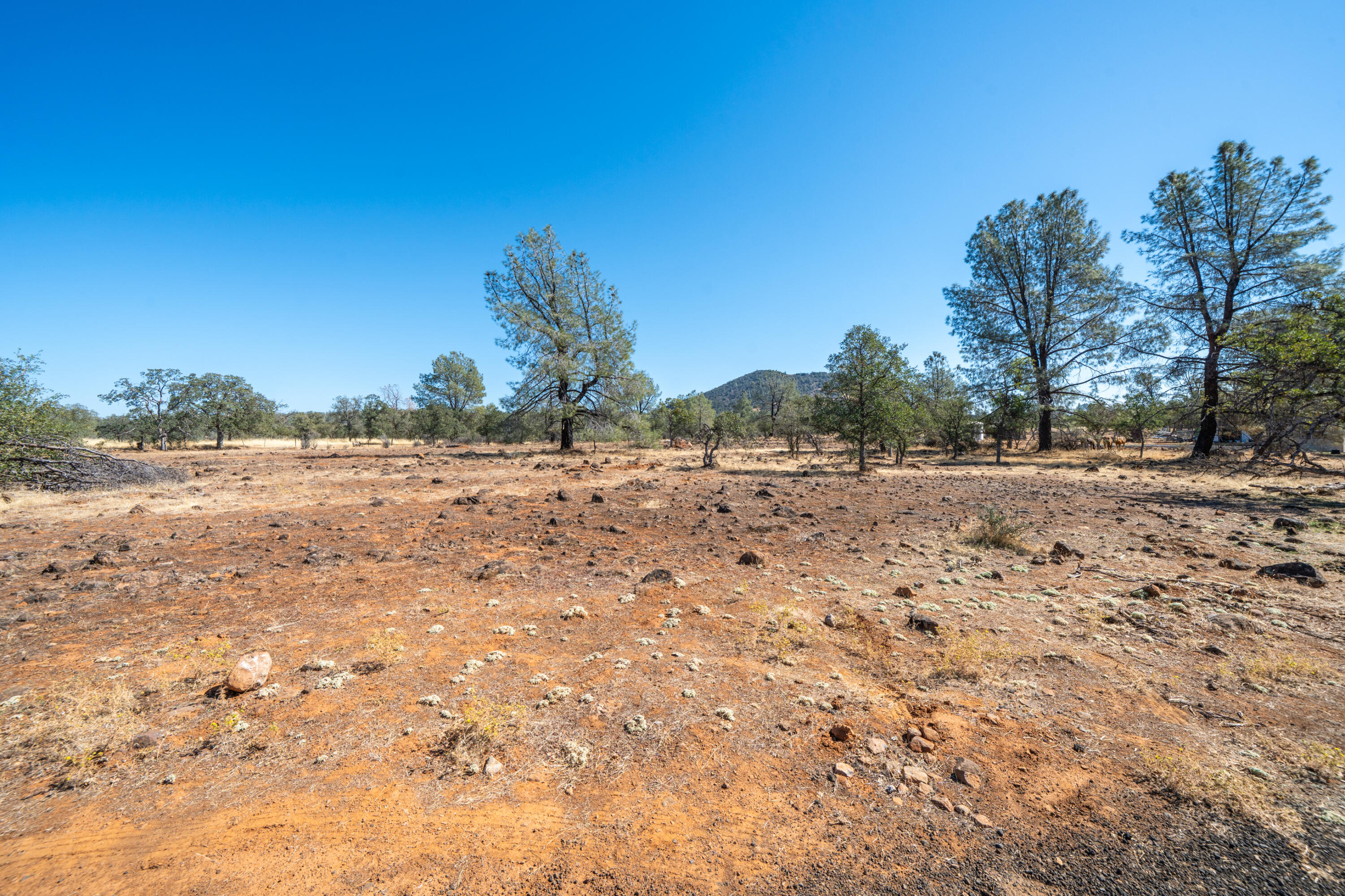 27655 Wildcat Road Shingletown, CA 96088 - Photo 43 of 73 27655 Wildcat Rd-45