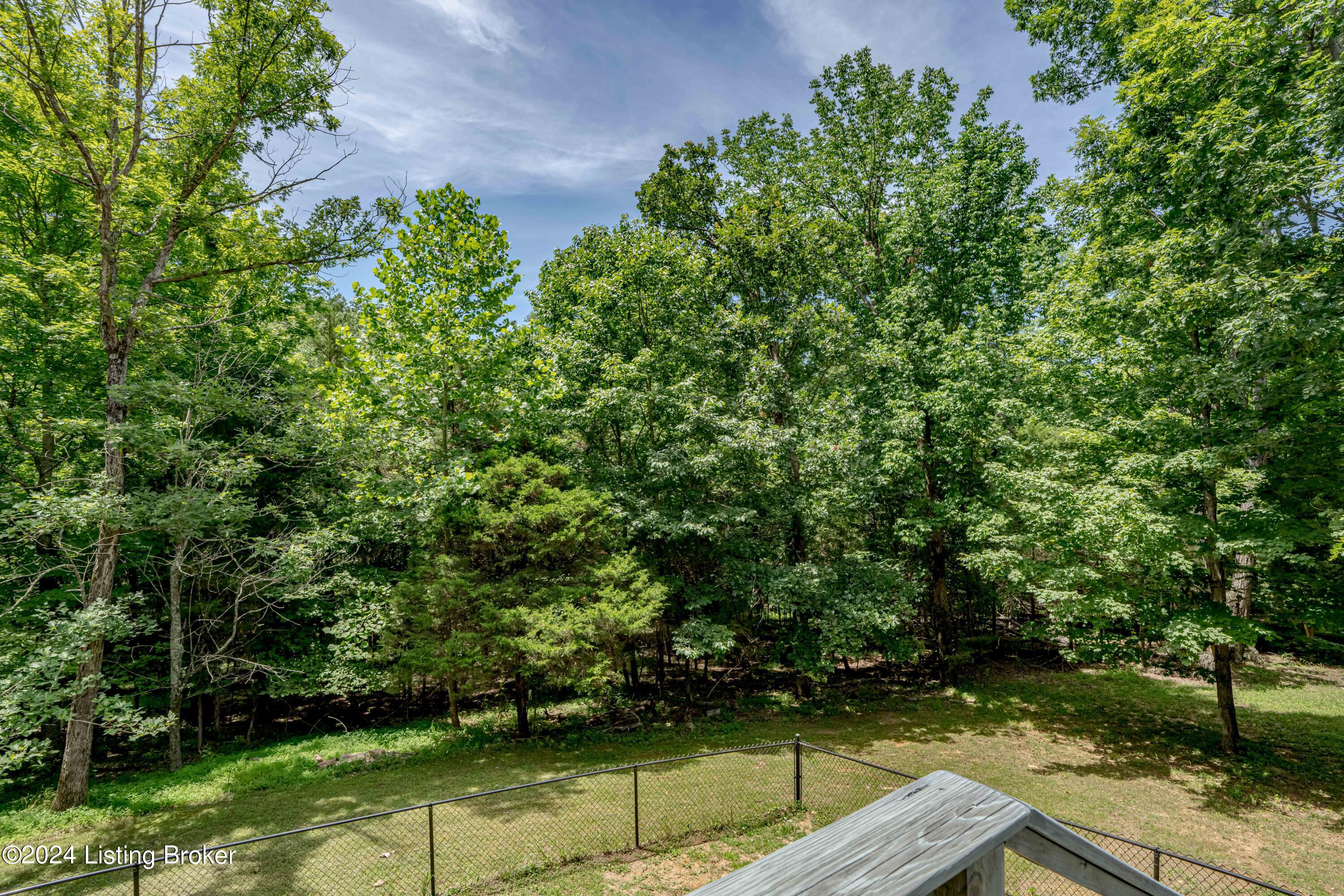 820 Long Needle Road Brandenburg, KY 40108 - Photo 55 of 71 DSC09830