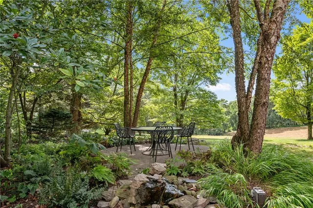 a swing chair and trees in the forest