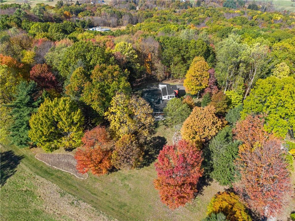 121 Hidden Ridge Pittsburgh, PA 15238 - Photo 36 of 48 a view of a yard with plants