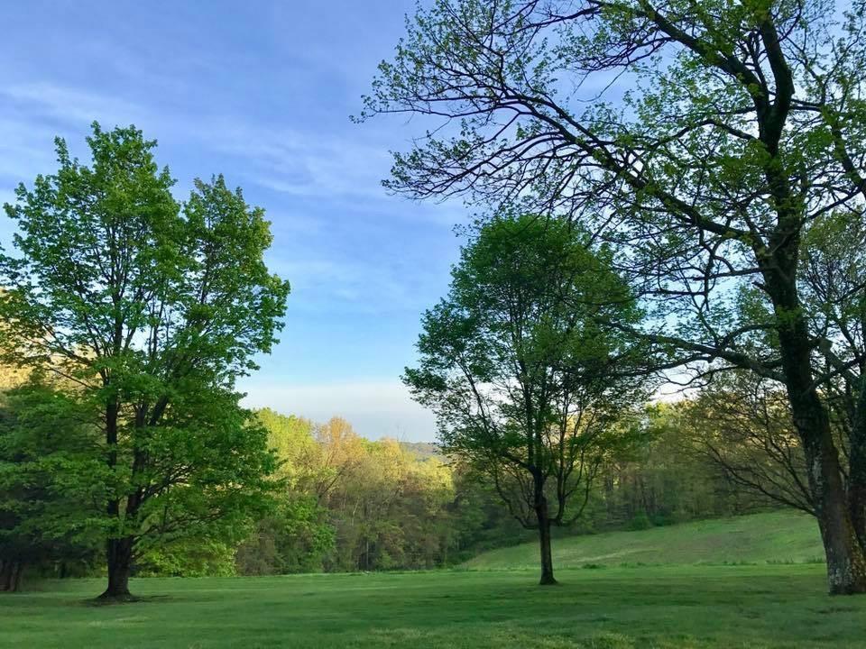 121 Hidden Ridge Pittsburgh, PA 15238 - Photo 43 of 48 a view of a grassy field with trees