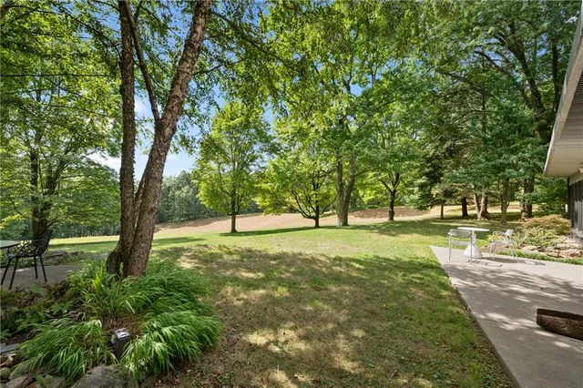 a view of yard with tree