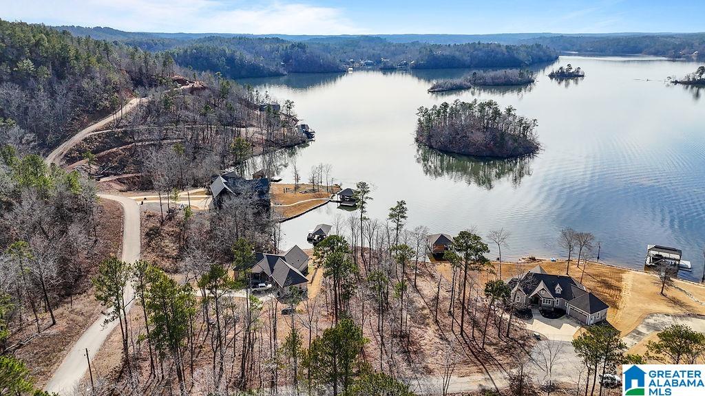 2147 Eagle Mountain Road, Unit 12 Rockford, AL 35136 - Photo 9 of 22