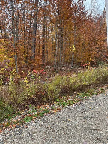 $150,000 | 0 Upper Notch Road, Bristol, VT 05443