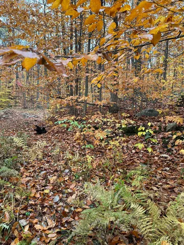 $150,000 | 0 Upper Notch Road, Bristol, VT 05443