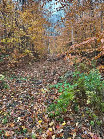 $150,000 | 0 Upper Notch Road, Bristol, VT 05443