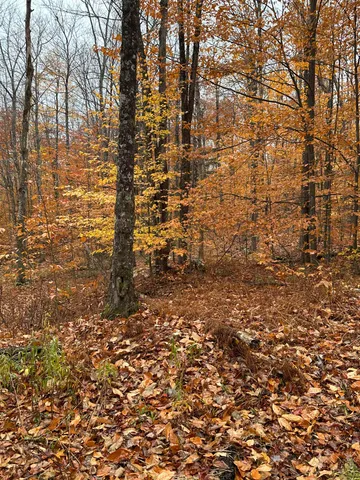 $150,000 | 0 Upper Notch Road, Bristol, VT 05443