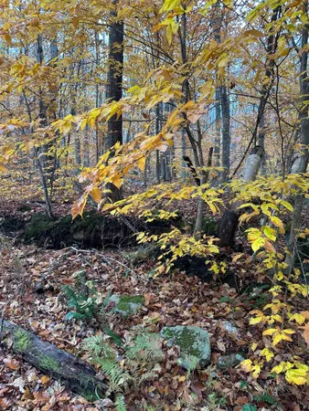 $150,000 | 0 Upper Notch Road, Bristol, VT 05443