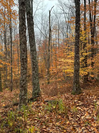 $150,000 | 0 Upper Notch Road, Bristol, VT 05443