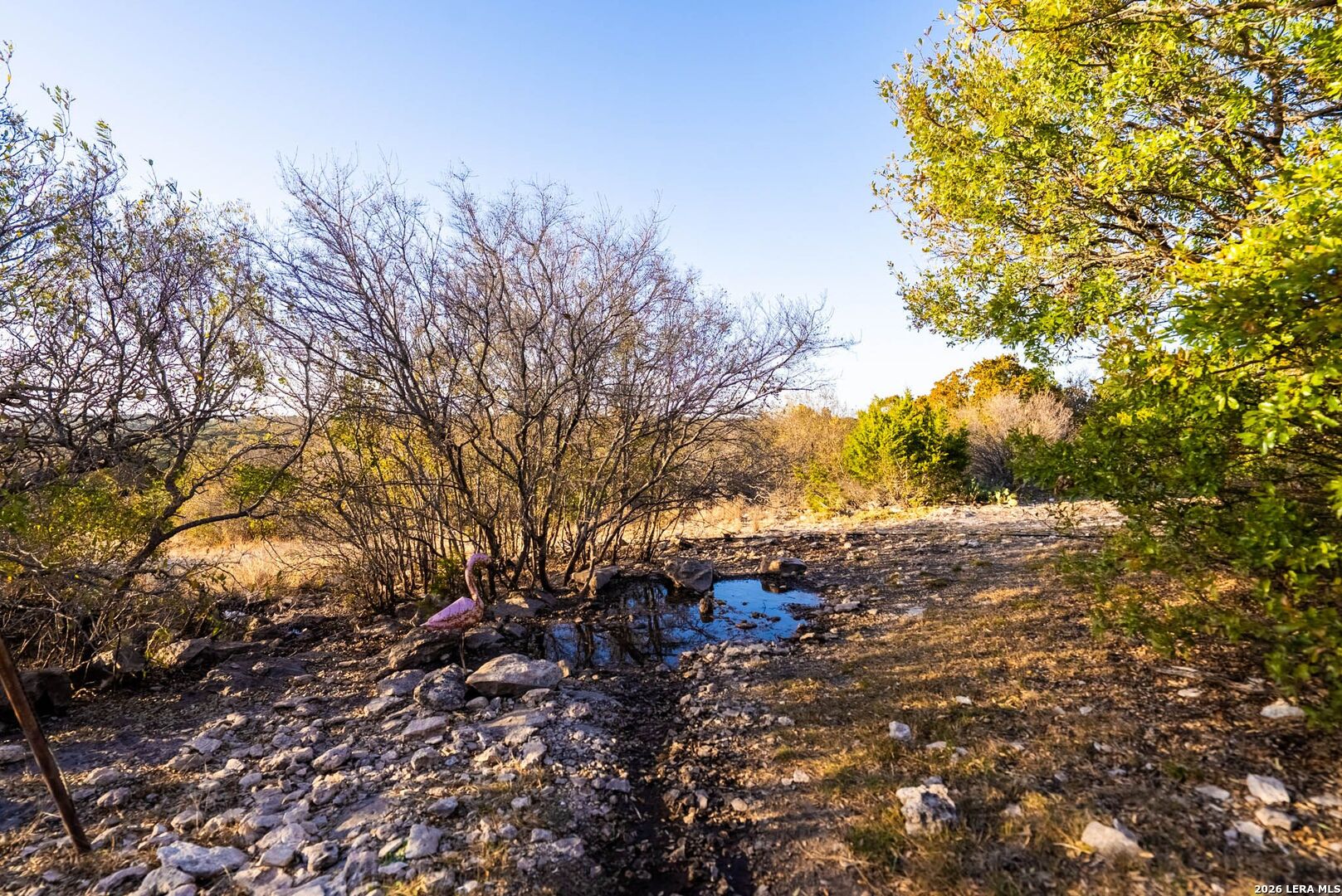261 SD 29185 Rocksprings, TX 78880 - Photo 30 of 94