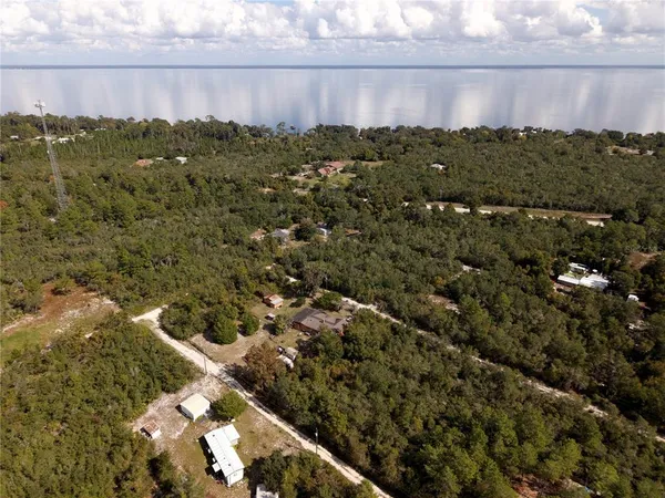 a view of a bunch of trees and houses