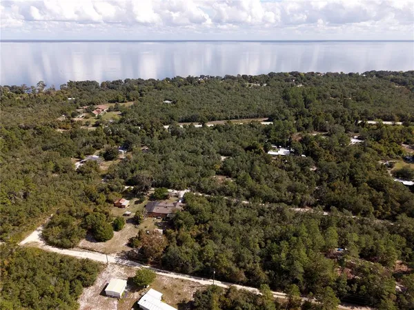 a view of a bunch of trees and houses