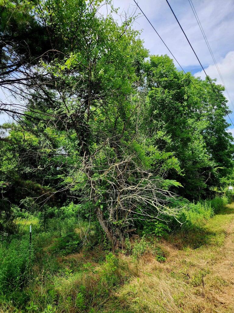 0 River Road, Unit 26 Decatur, TN 37322 - Photo 6 of 7 26 6