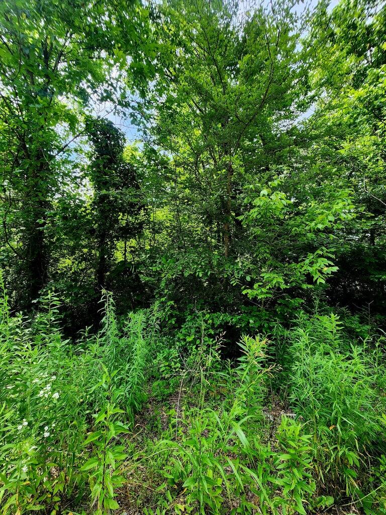 0 River Road, Unit 26 Decatur, TN 37322 - Photo 7 of 7 26 7