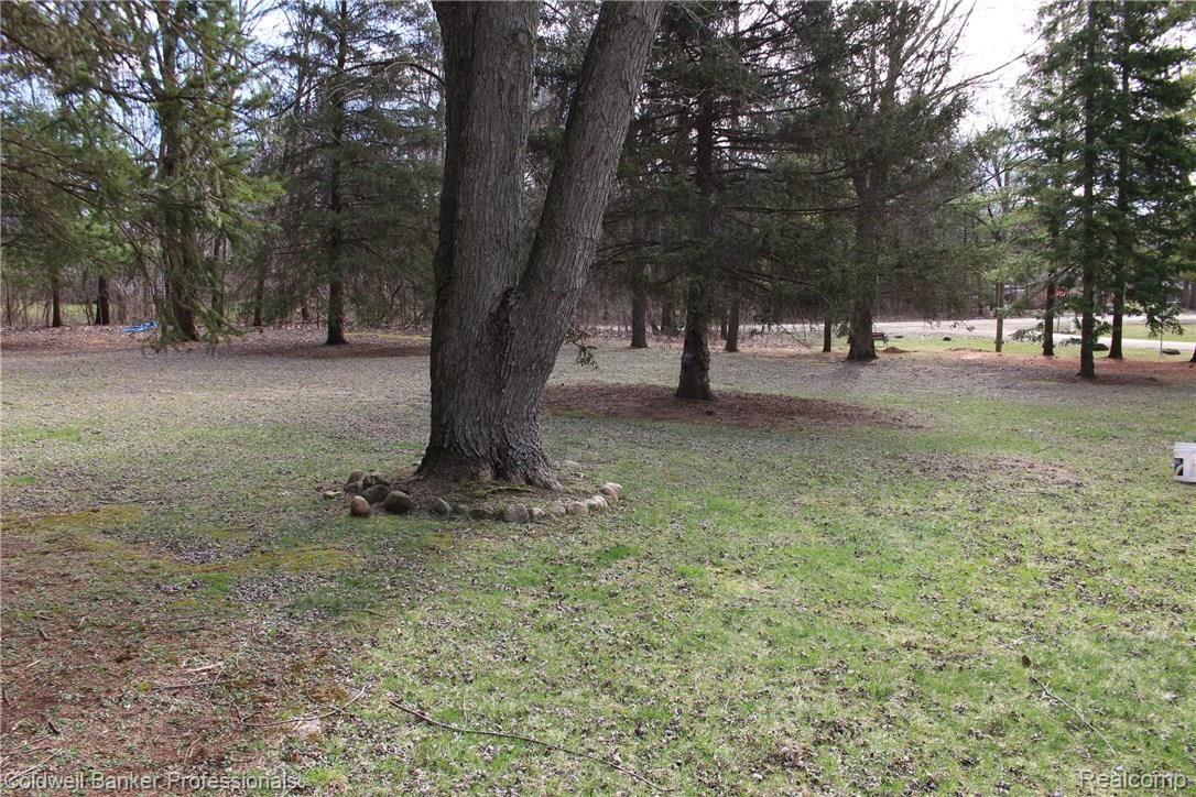 8141 Reese Road Clarkston, MI 48348 - Photo 6 of 26 IMG_1845.JPG