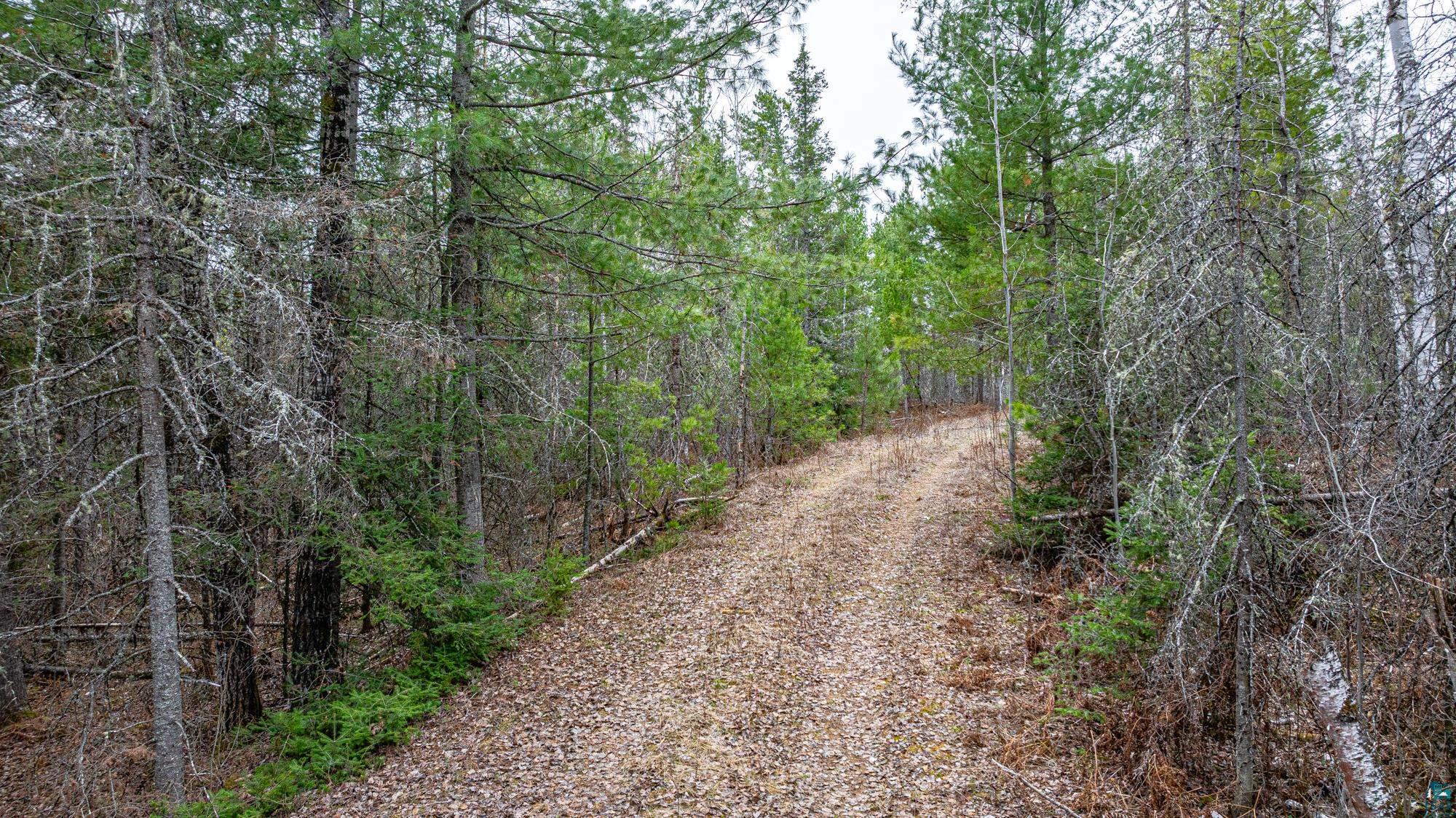 Tbd Lindbeck Road Ely, MN 55731 - Photo 12 of 44