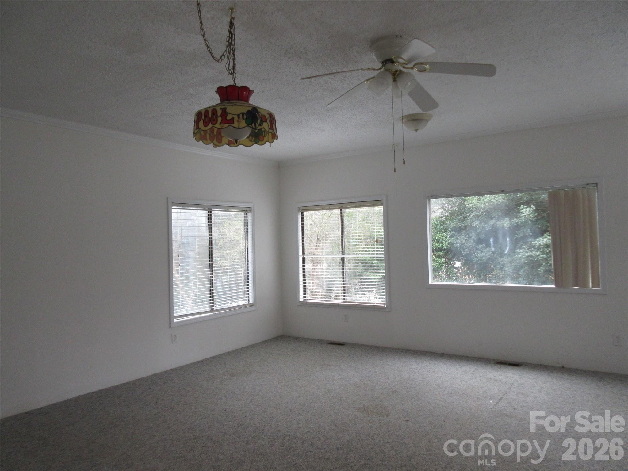 31 Ford Ridge Lane Columbus, NC 28722 - Photo 3 of 20