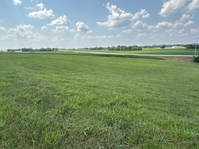 a view of a lake and a big yard