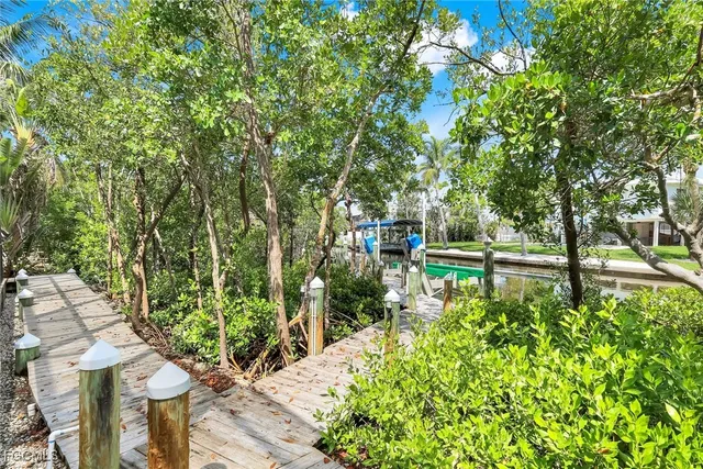 a view of a yard with plants and large trees