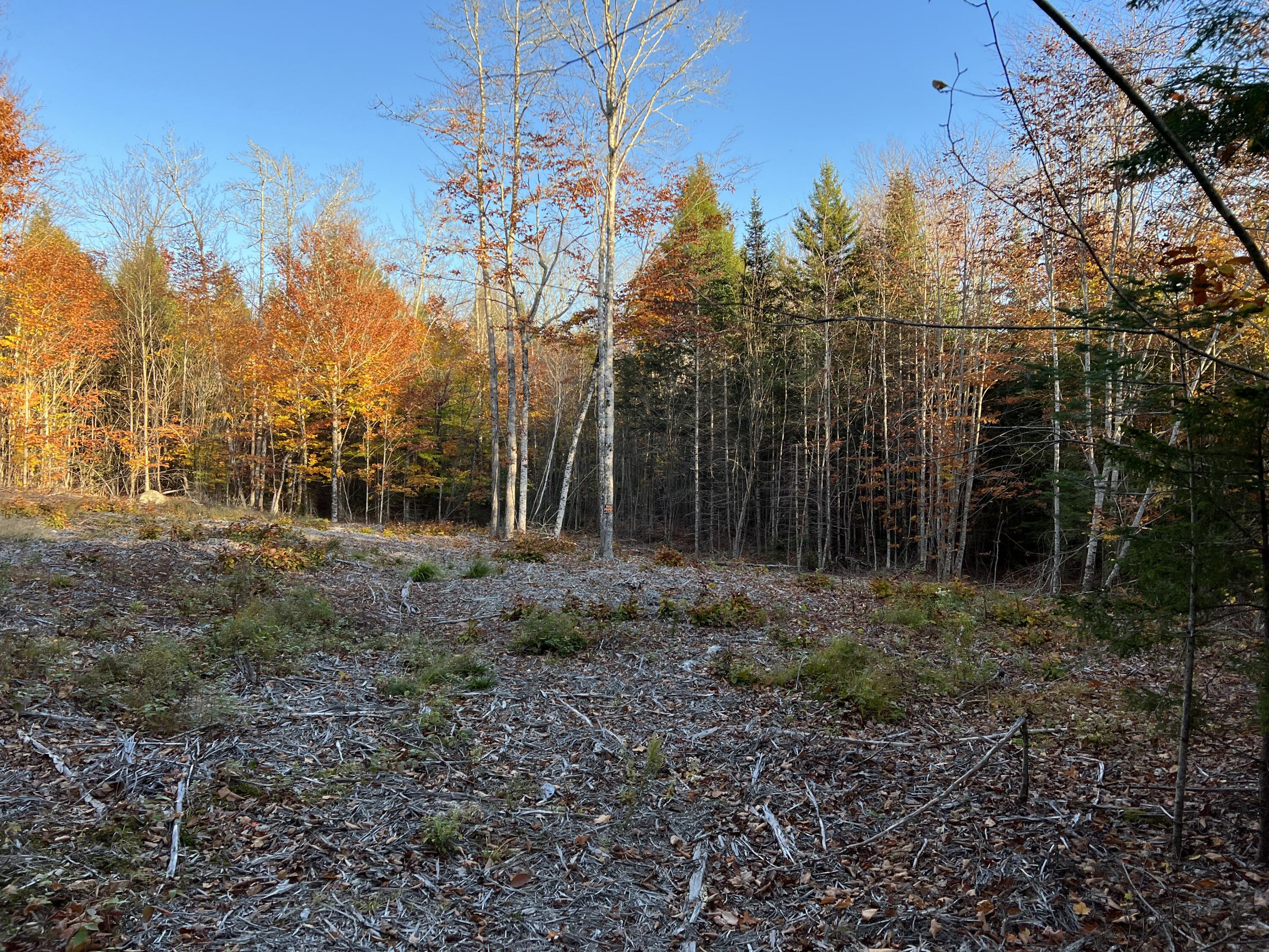 55 Bobcat Lane Ellsworth, ME 04605 - Photo 4 of 9 IMG-8005