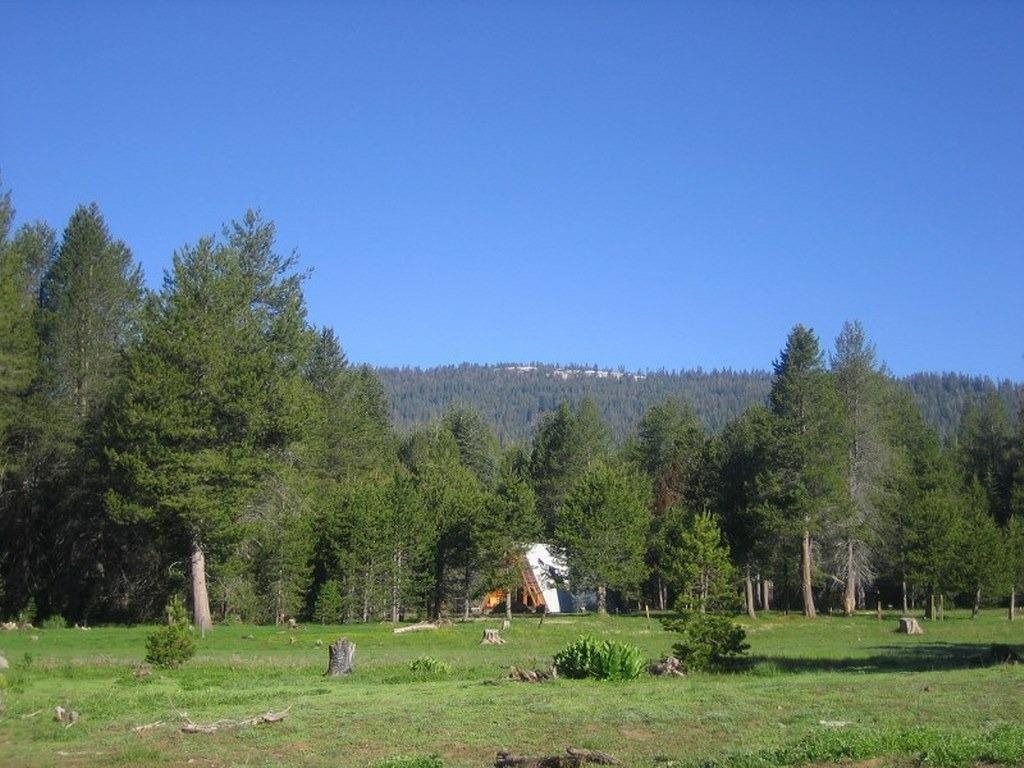 10 Beasore Road Bass Lake, CA 93604 - Photo 4 of 15