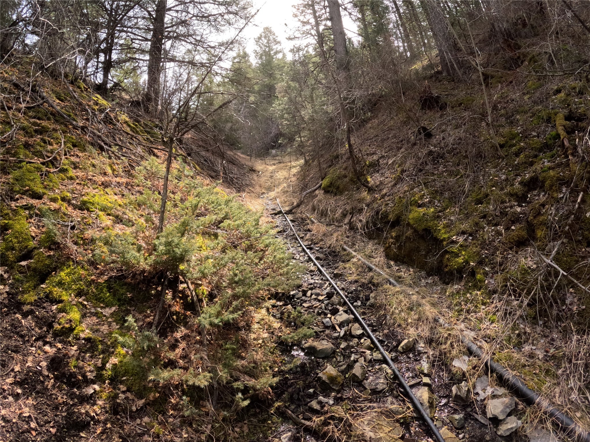 Three Pole Gulch Road Three Forks, MT 59752 - Photo 20 of 27 Looking up gully towards spring. You may be able to just make out the wire fencing.