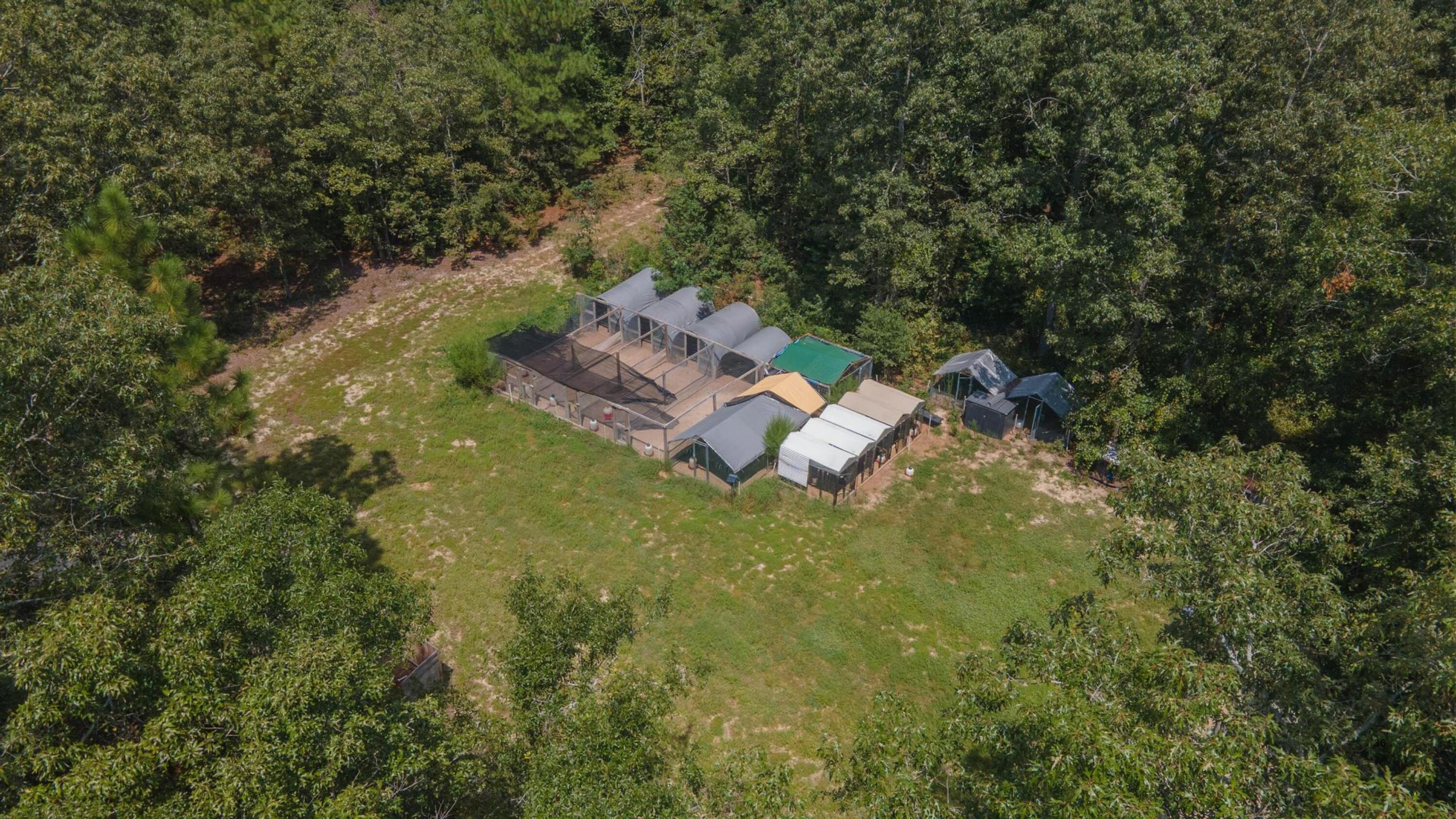 869 Clinton Church Road Salley, SC 29137 - Photo 36 of 38 Gallery Image 36