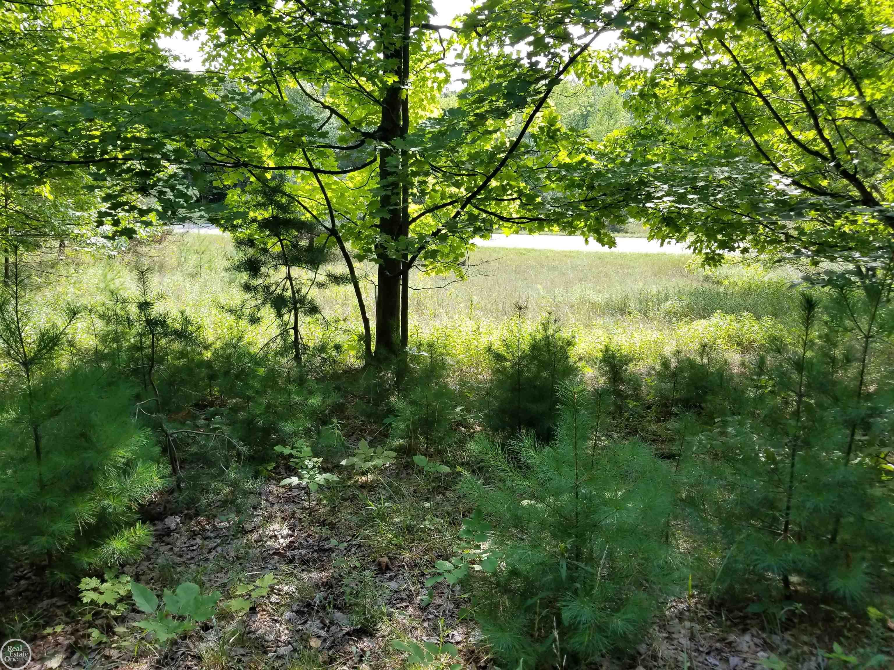 South Fritz Road Maple City, MI 49664 - Photo 5 of 14