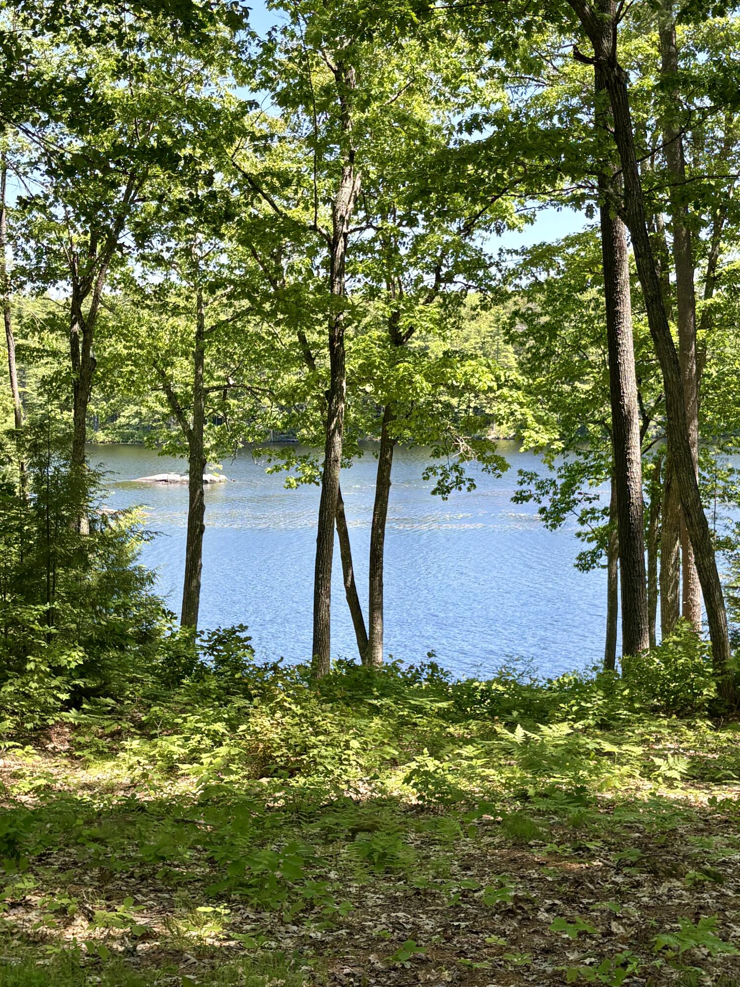 102 Trask Lane Jefferson, ME 04348 - Photo 55 of 63 IMG_5041