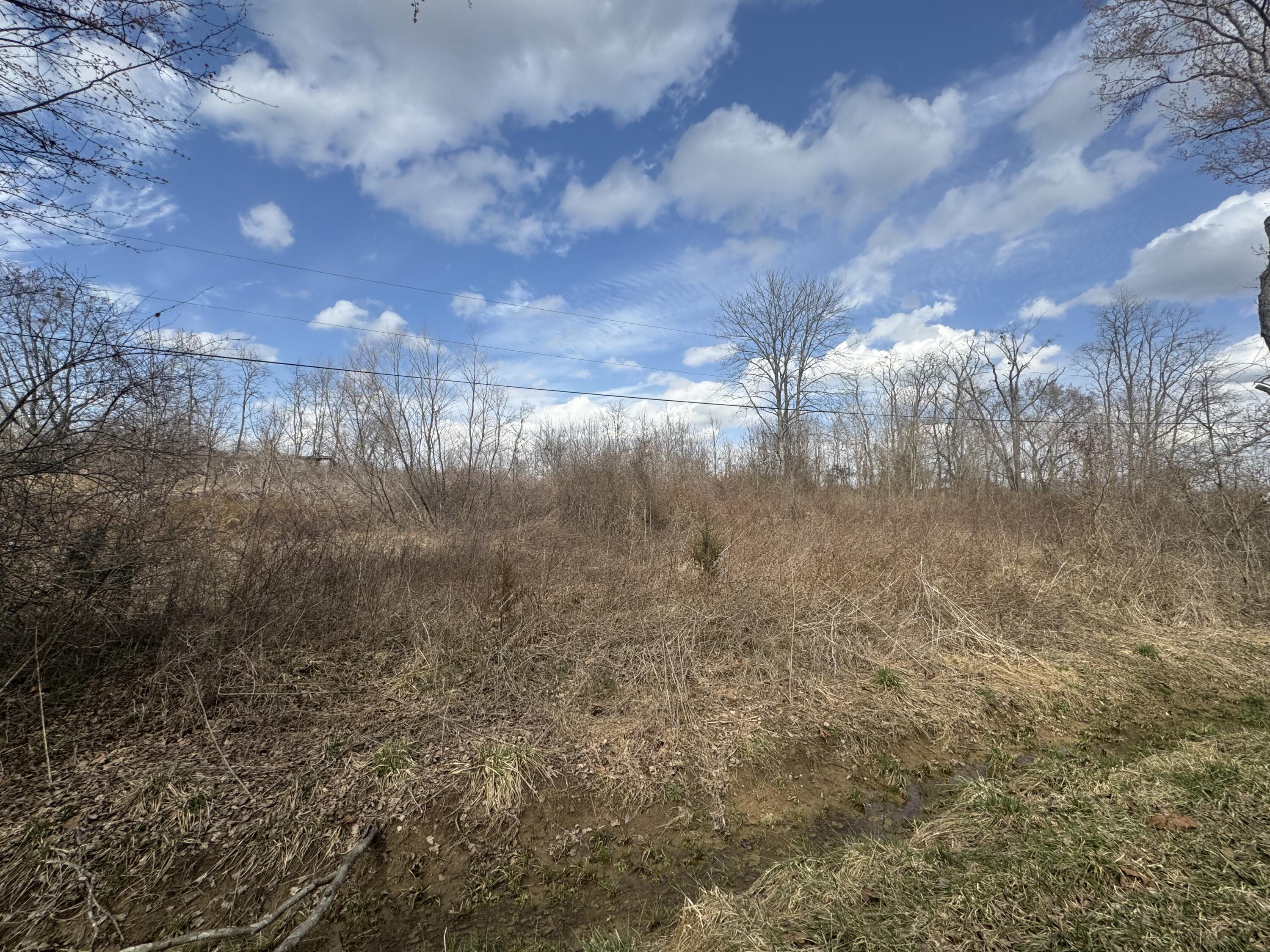 205 County Machinery Road Crab Orchard, KY 40419 - Photo 2 of 4 IMG_8012