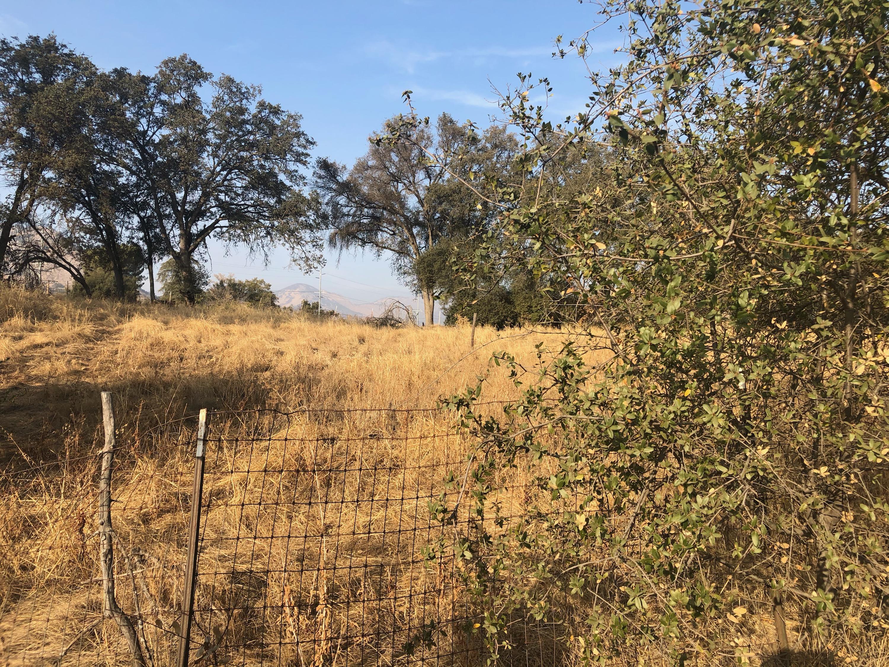 40711 Old Three Rivers Road Three Rivers, CA 93271 - Photo 2 of 3 BA95DD9B-A2F8-4B6A-8A6C-DF14832175BF