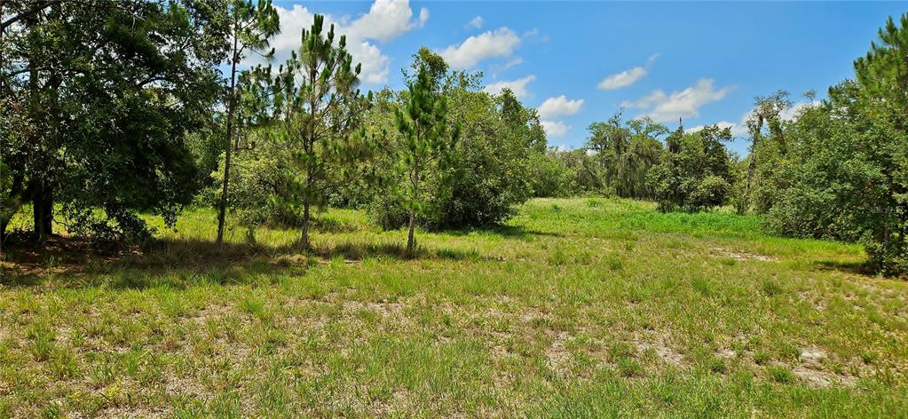 Mammoth Grove Rd Lake Lake Wales, FL 33898 - Photo 2 of 7